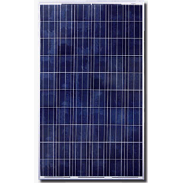 加拿大太阳能CS6P-250P 250个板