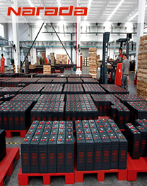 纳拉达battery wiki warehouse